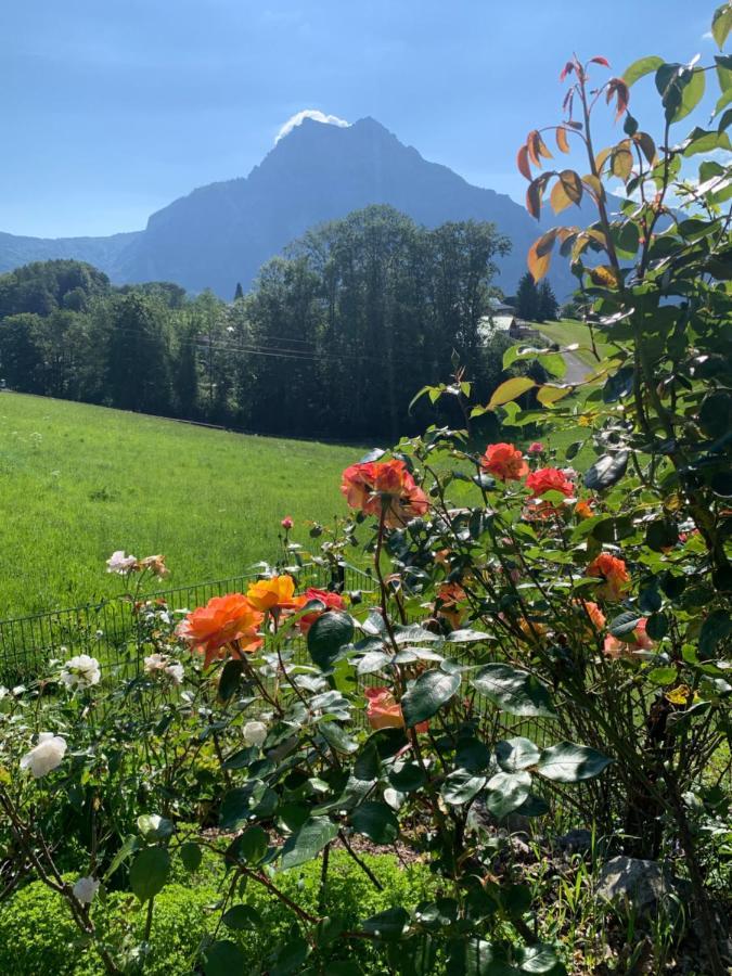 Kainzleitenhof Nachdemsee Eksteriør bilde
